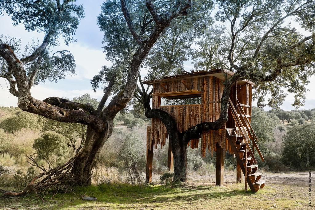 Eco-Lodge En La Reserva Privada Campanarios De Azaba - Proyecto De Conservacion Espeja Ngoại thất bức ảnh