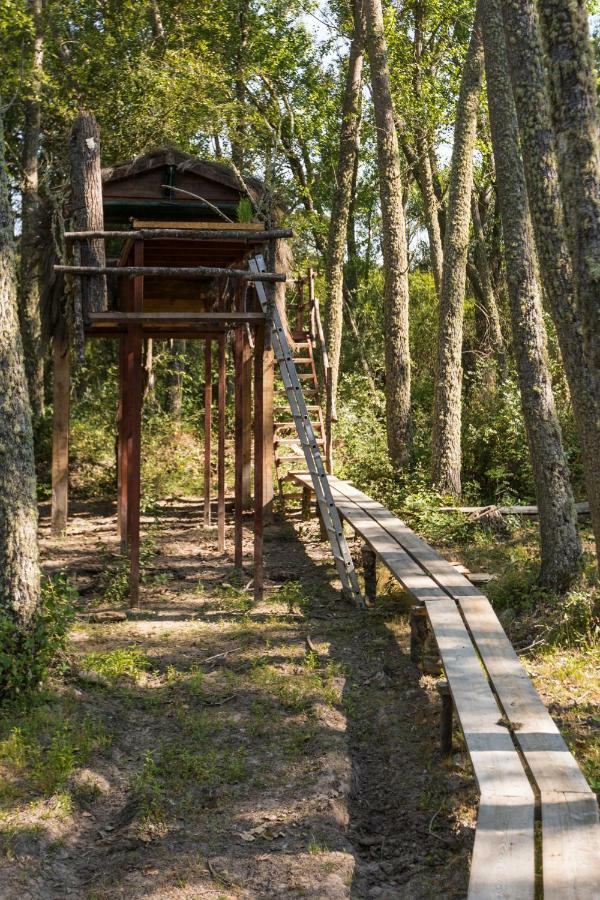 Eco-Lodge En La Reserva Privada Campanarios De Azaba - Proyecto De Conservacion Espeja Ngoại thất bức ảnh