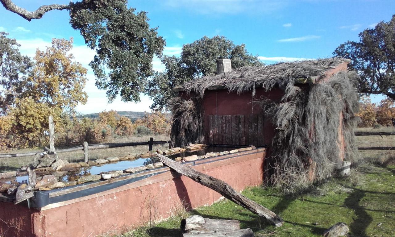 Eco-Lodge En La Reserva Privada Campanarios De Azaba - Proyecto De Conservacion Espeja Ngoại thất bức ảnh